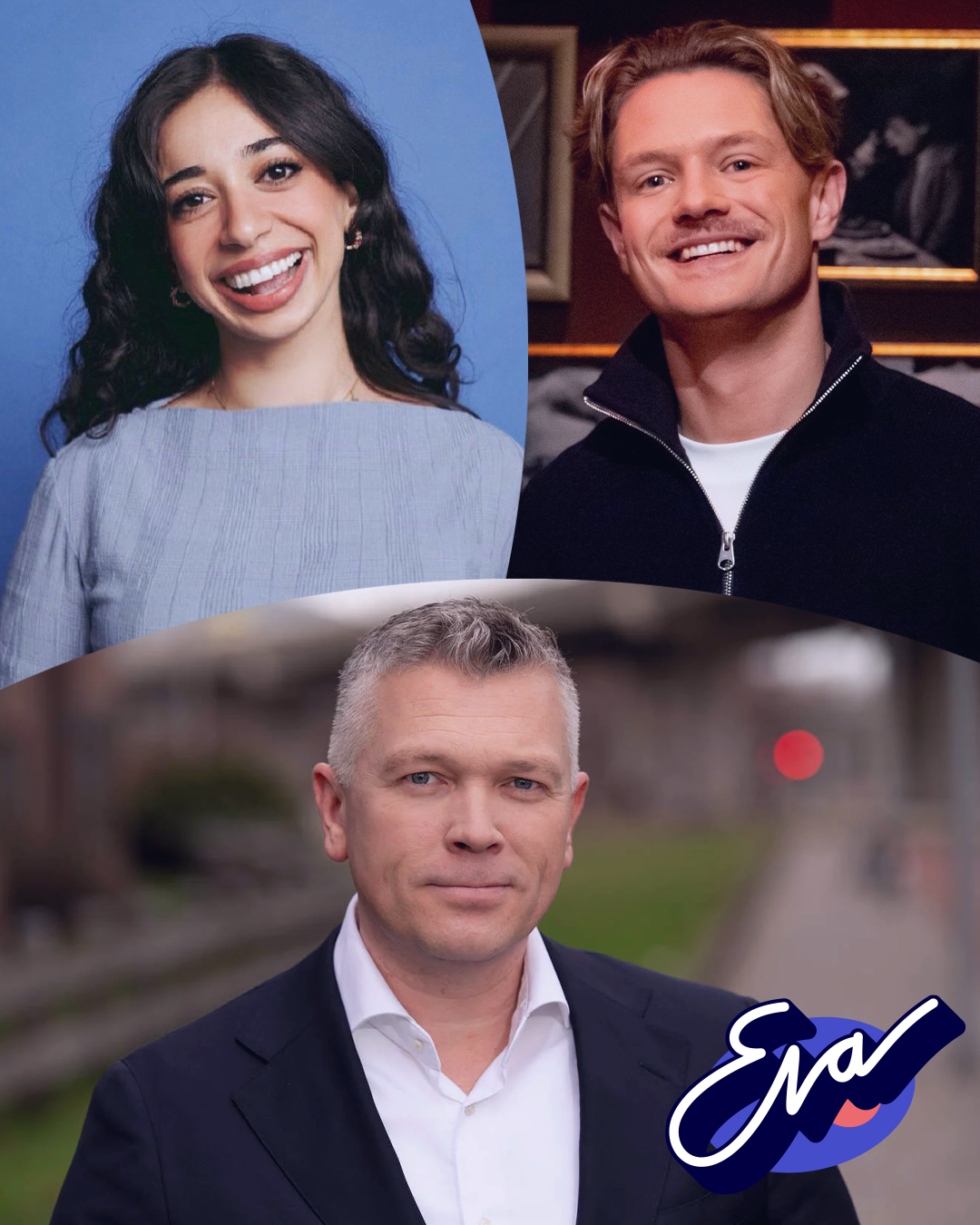 Website Politiek