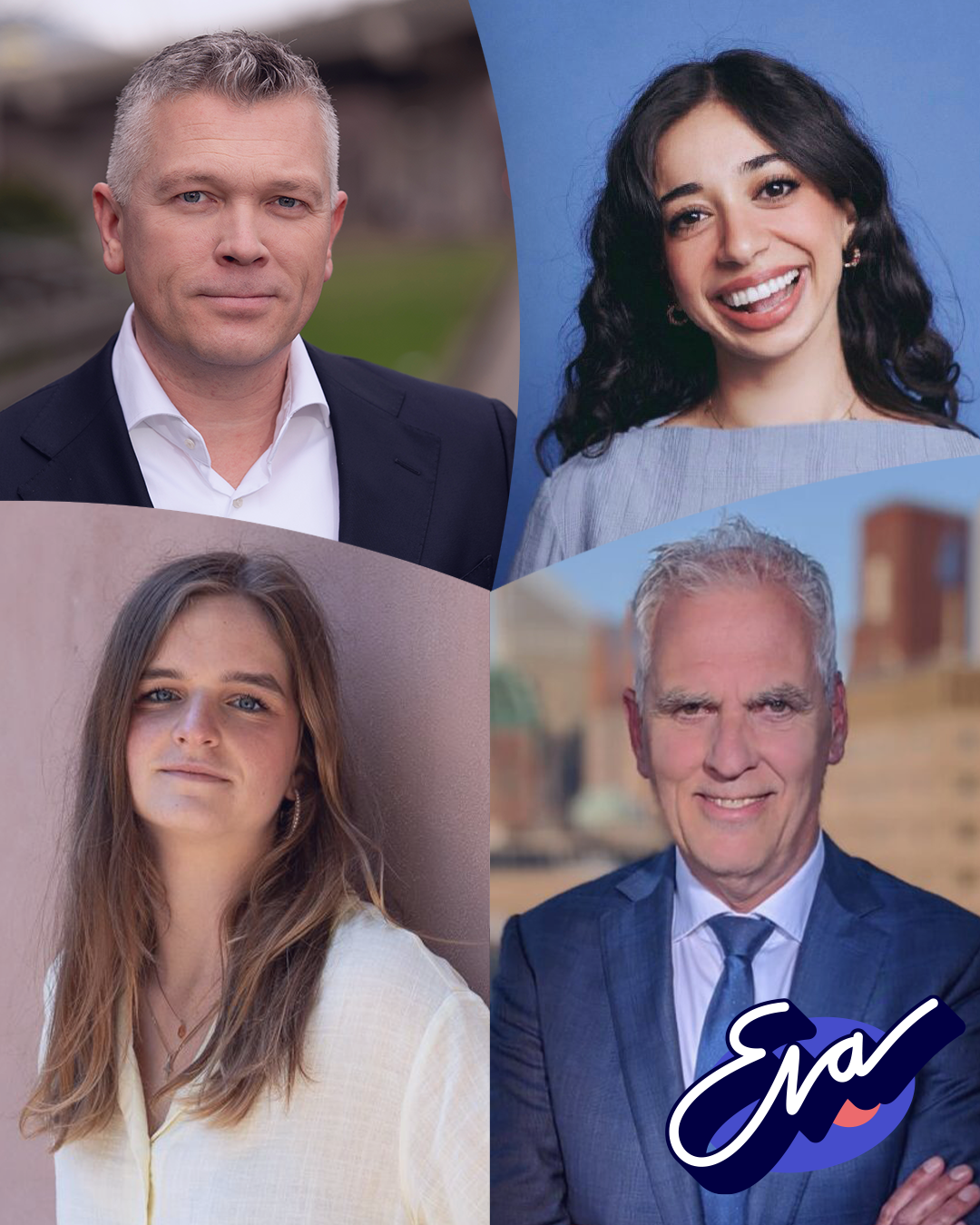 Website Politiek