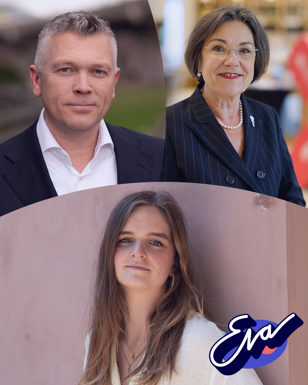 Website Politiek