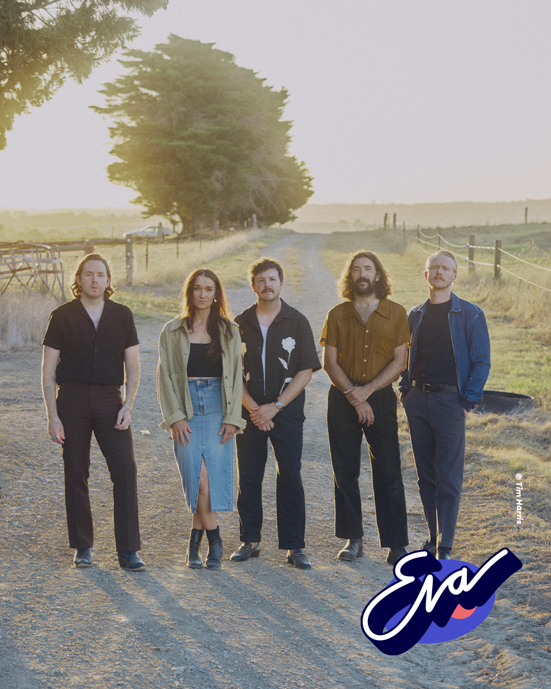 Website Paper Kites