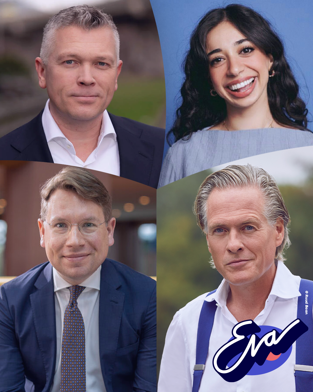 Website Politiek