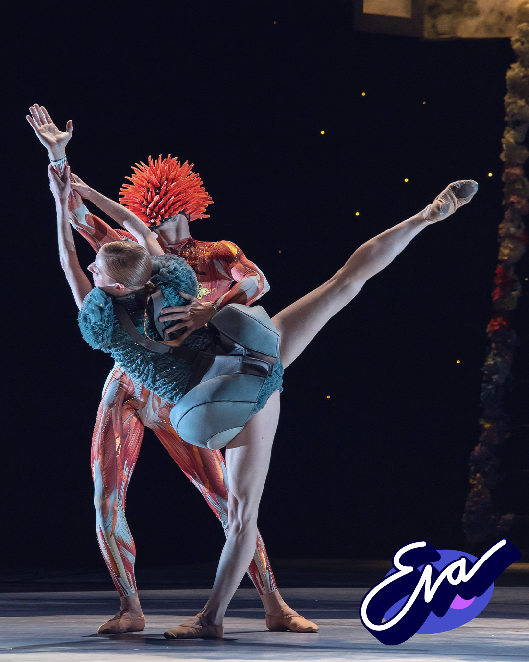 Introdans Website