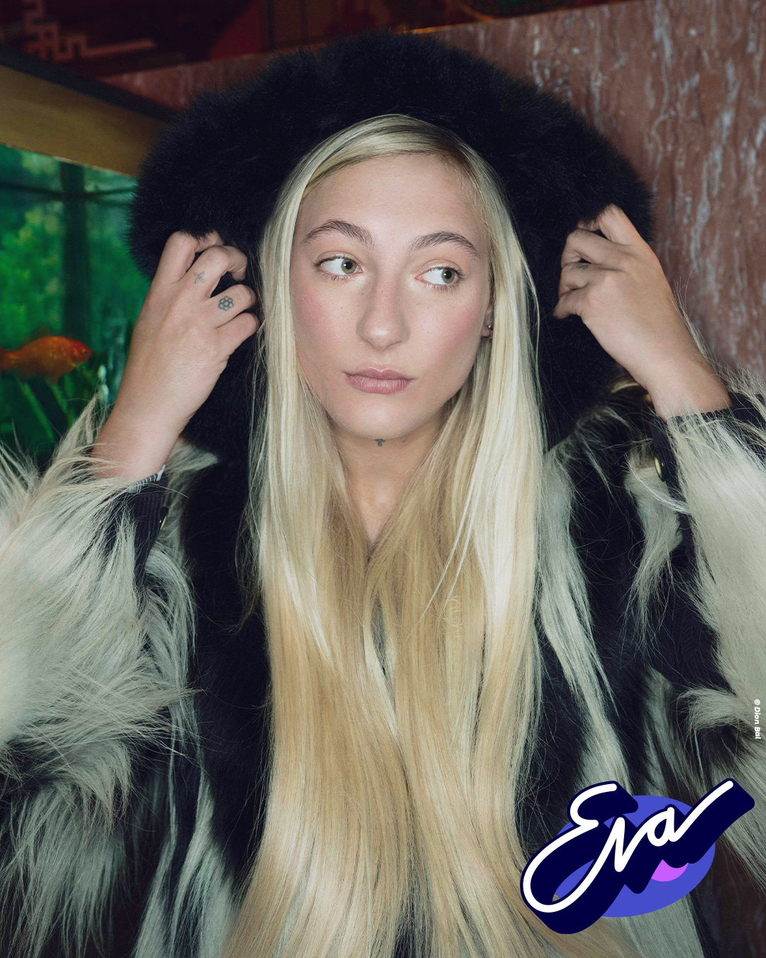 S10 Website